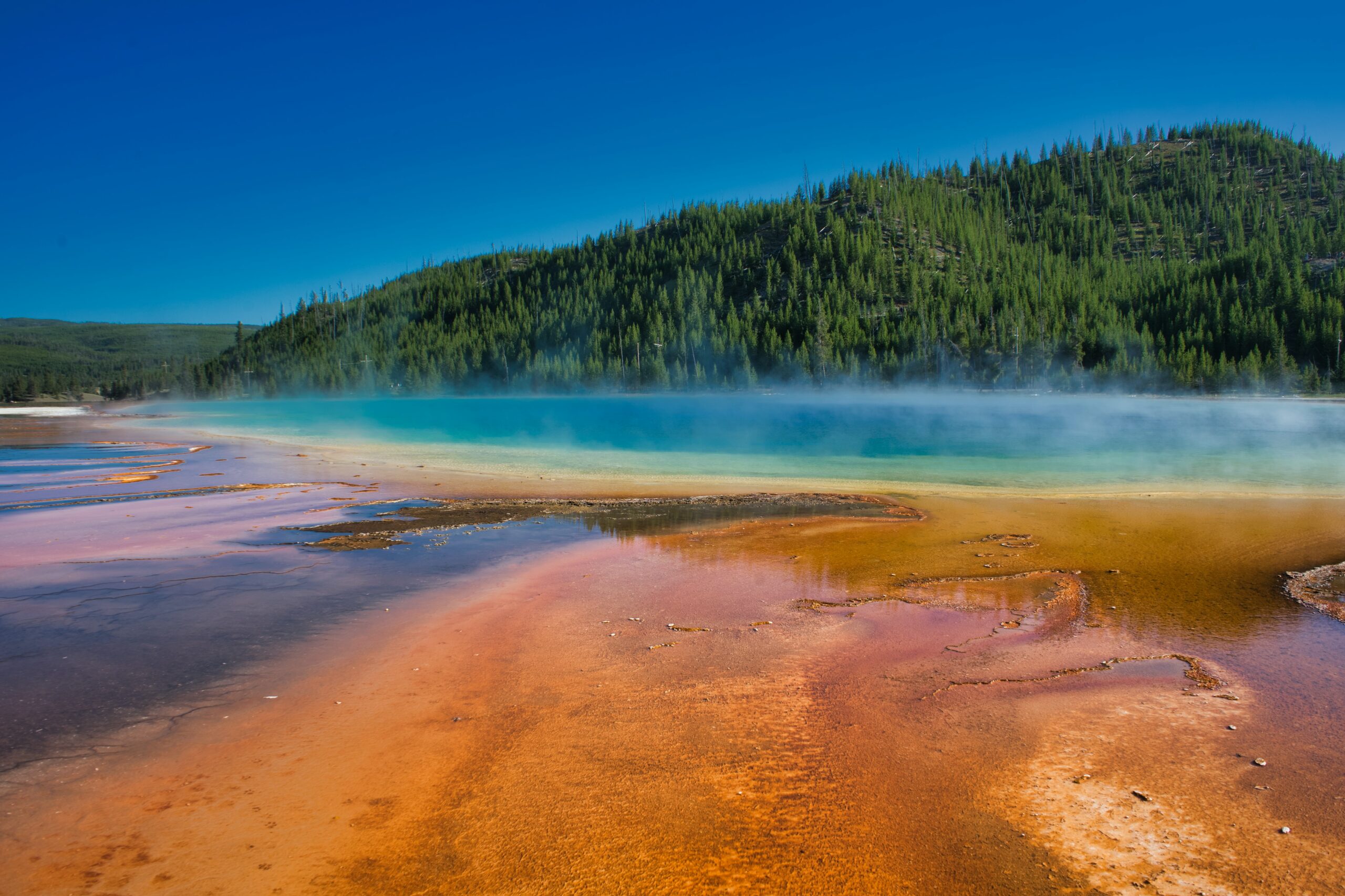 Yellowstone NP